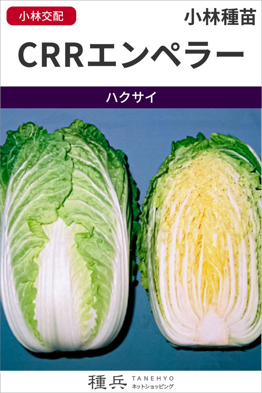 ハクサイ 種 『CRRエンペラー』  小林種苗