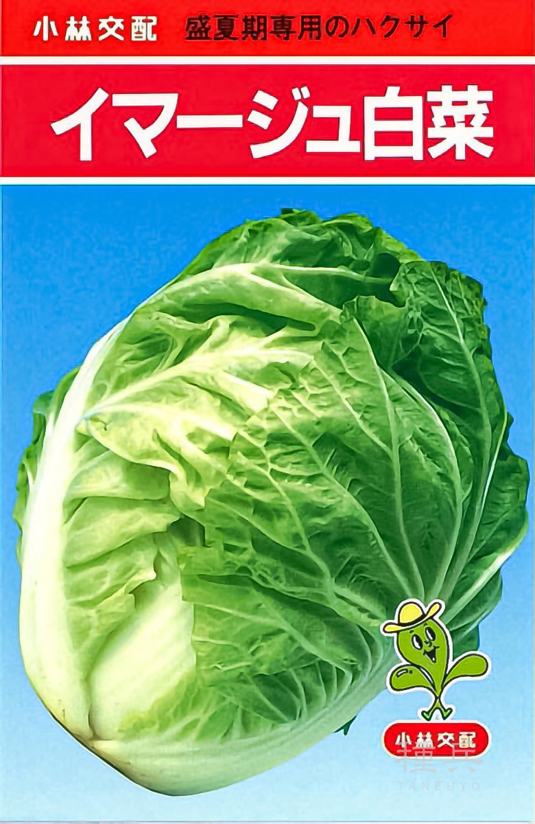 ハクサイ 種 『イマージュ』  小林種苗
