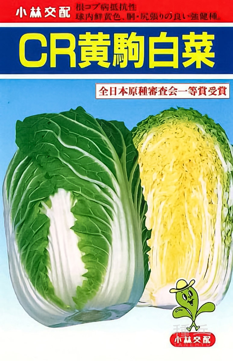 ハクサイ 種 『CR黄駒』  小林種苗