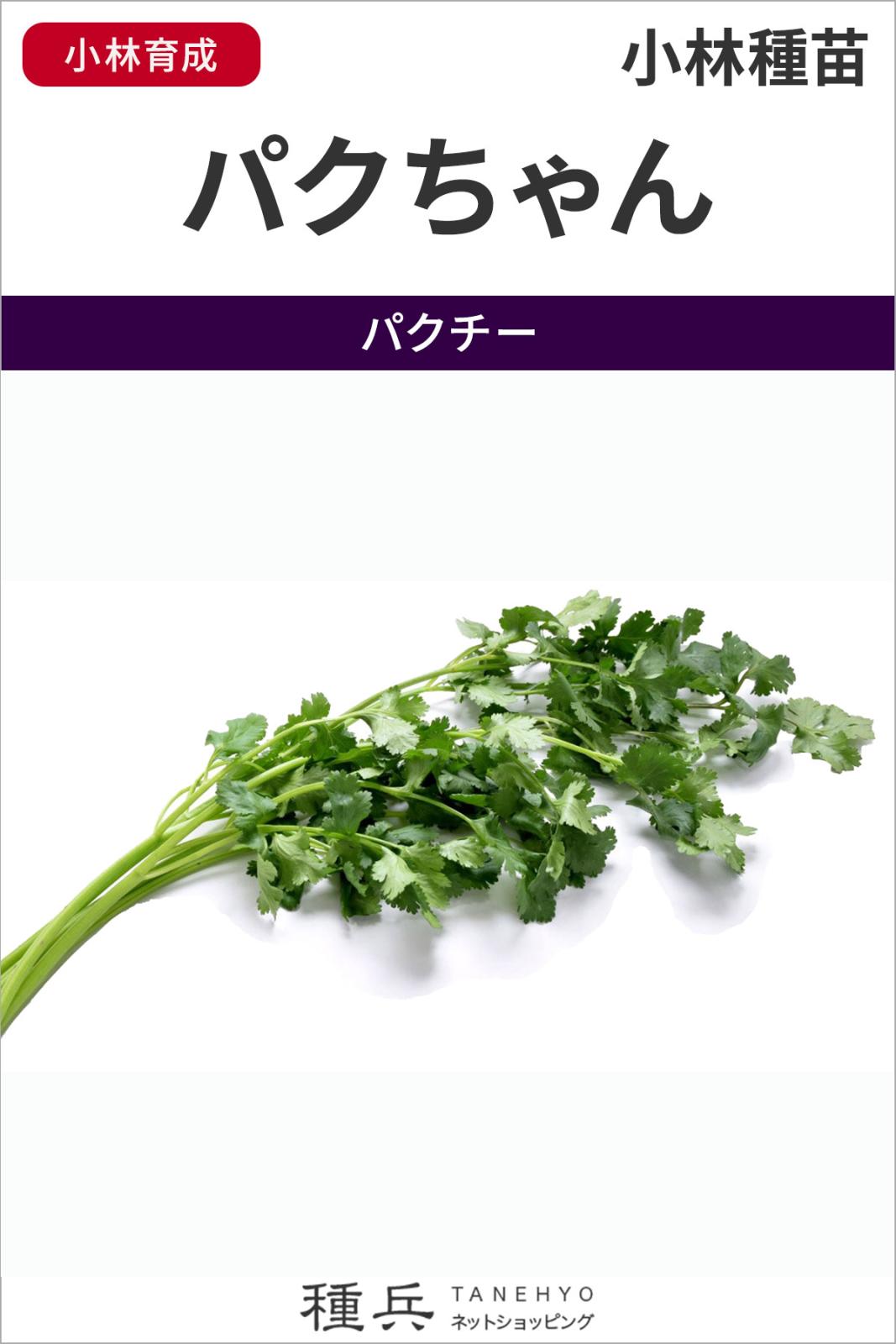 コリアンダー 種 『パクちゃん』  小林種苗