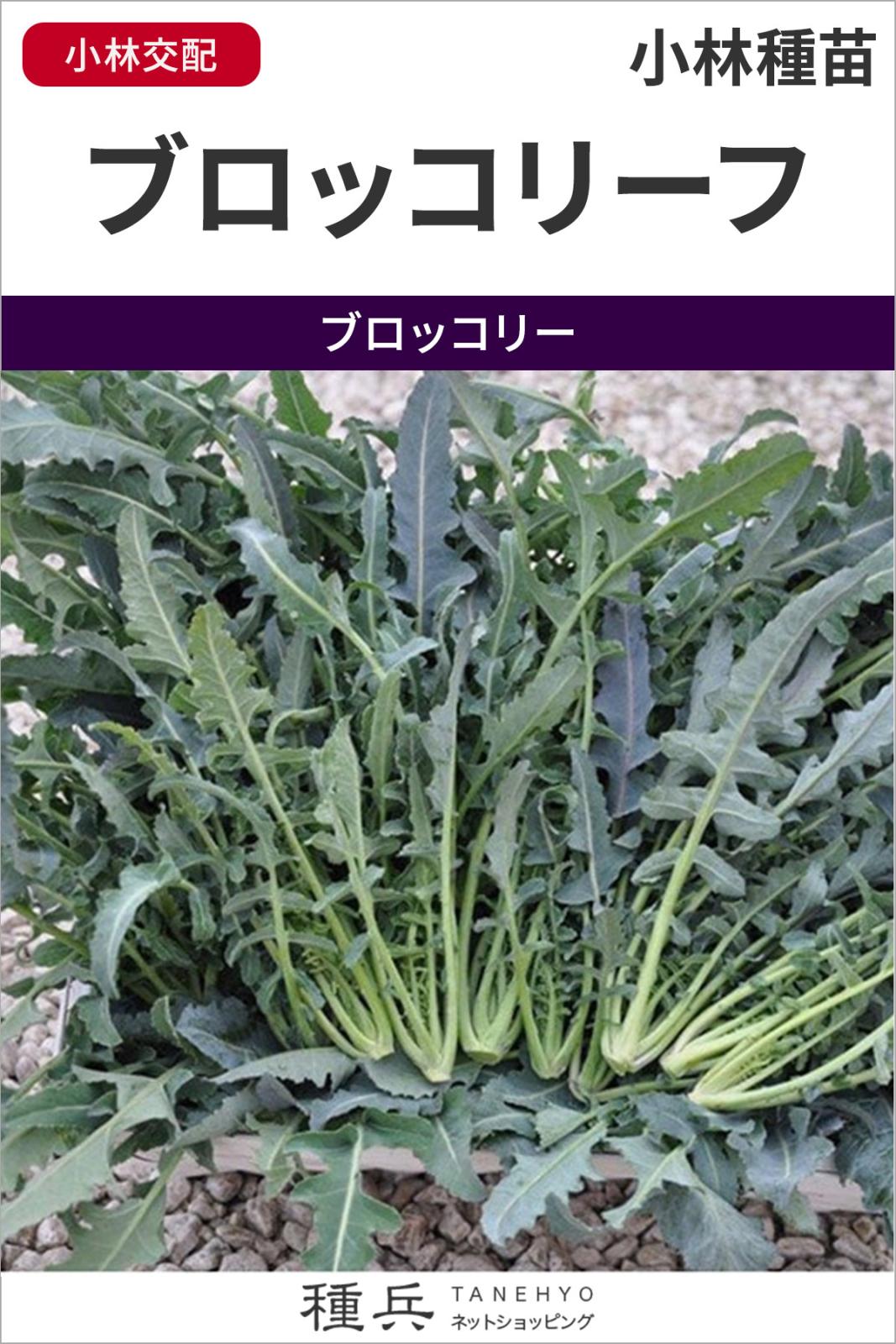 たね,葉菜の種,ブロッコリー | 種兵ネットショッピング