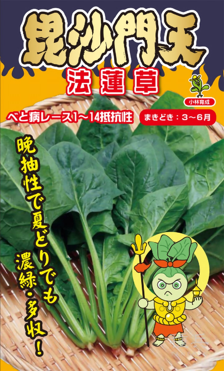 ホウレンソウ 種 『毘沙門天』  小林種苗