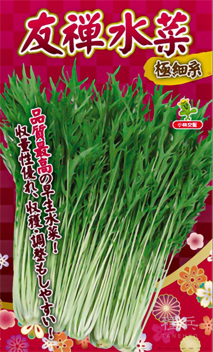 ミズナ 種 『友禅水菜』  小林種苗