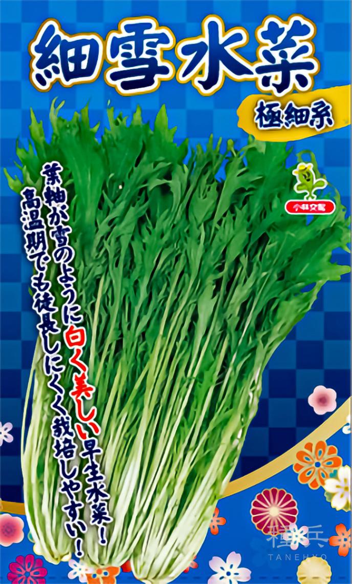 ミズナ 種 『細雪水菜』  小林種苗