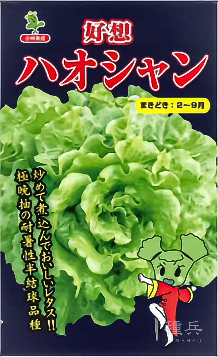 リーフレタス 種 『ハオシャン (好想) 』  小林種苗