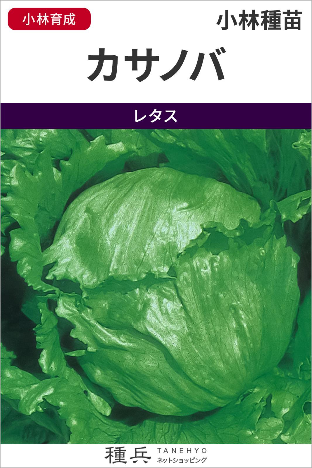 たね,葉菜の種,レタス | 種兵ネットショッピング