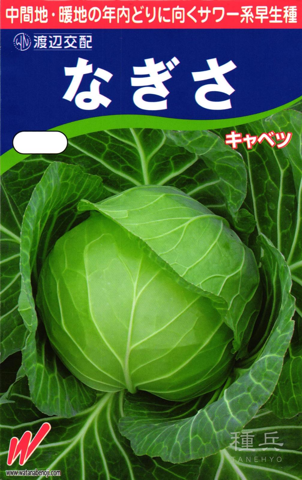 サワーキャベツ 種 『なぎさ』  渡辺農事