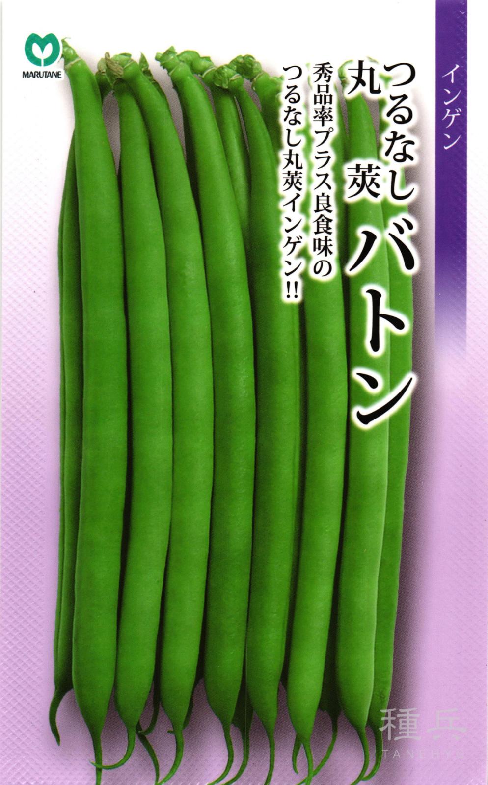 つるなしインゲン 種 『バトン』  丸種