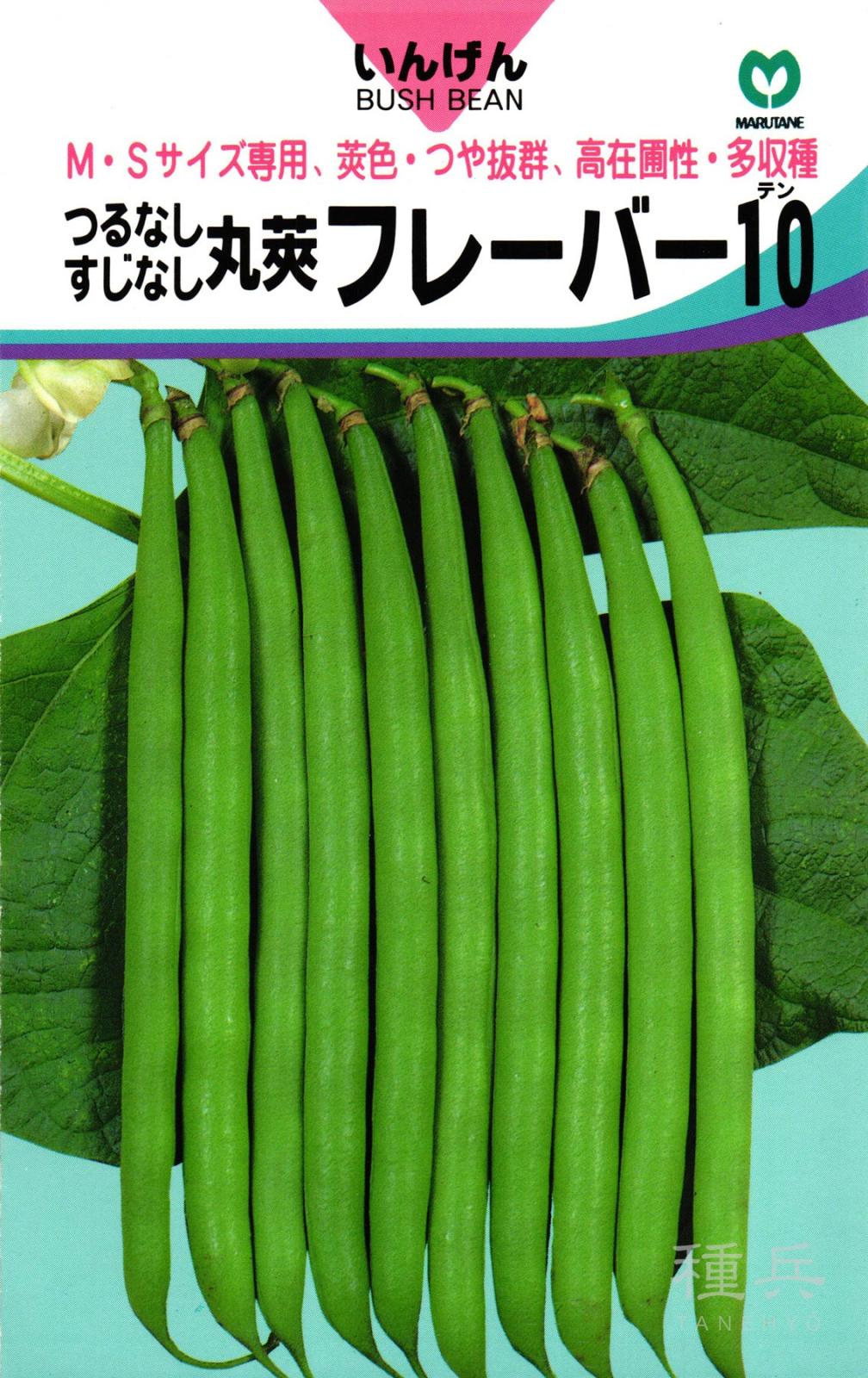つるなしインゲン 種 『フレーバー10』  丸種