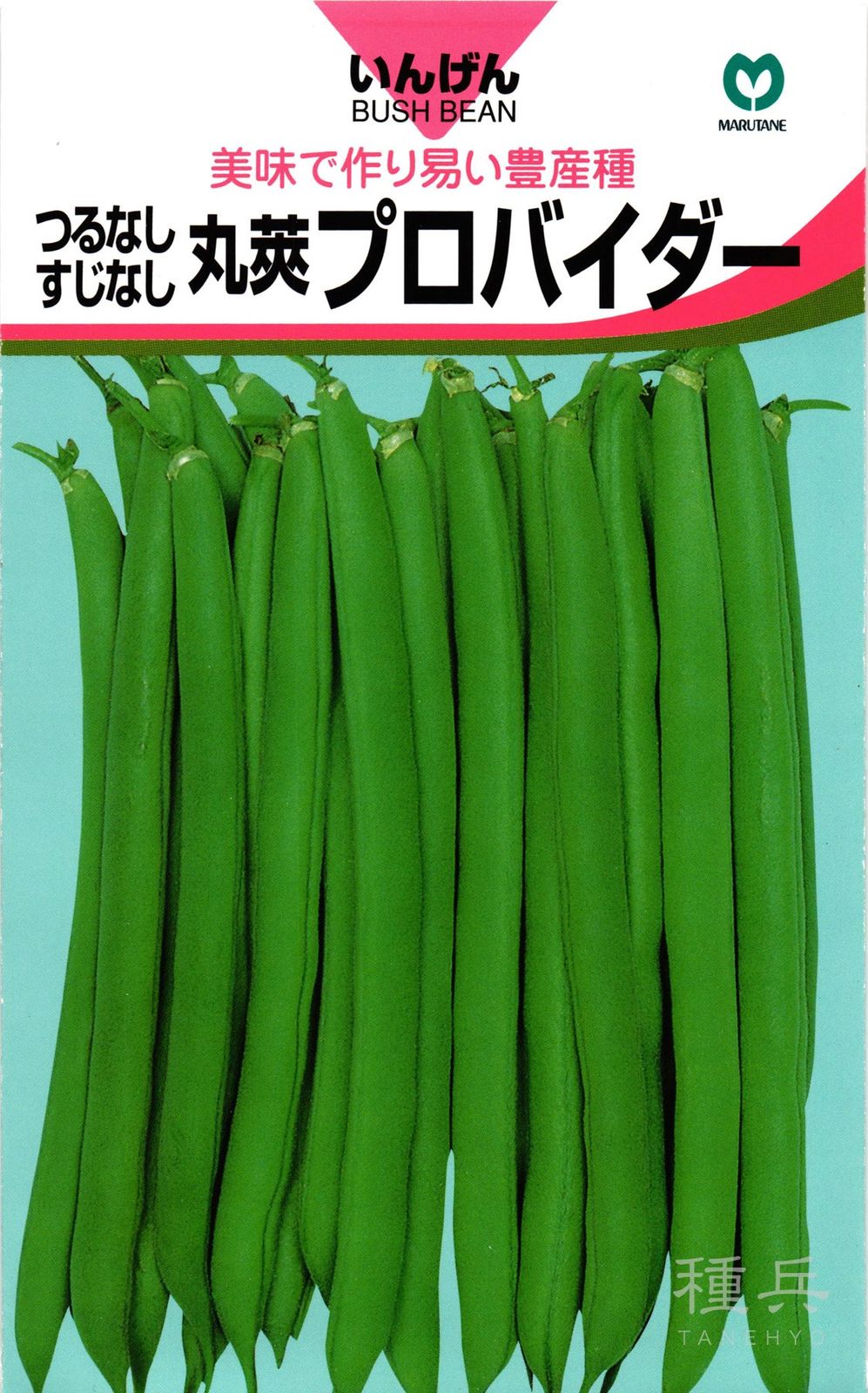 つるなしインゲン 種 『プロバイダー』  丸種