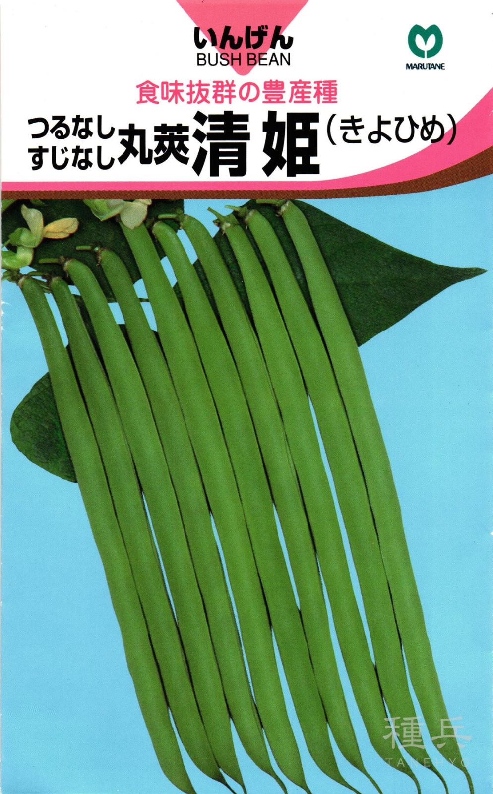 つるなしインゲン 種 『清姫』  丸種