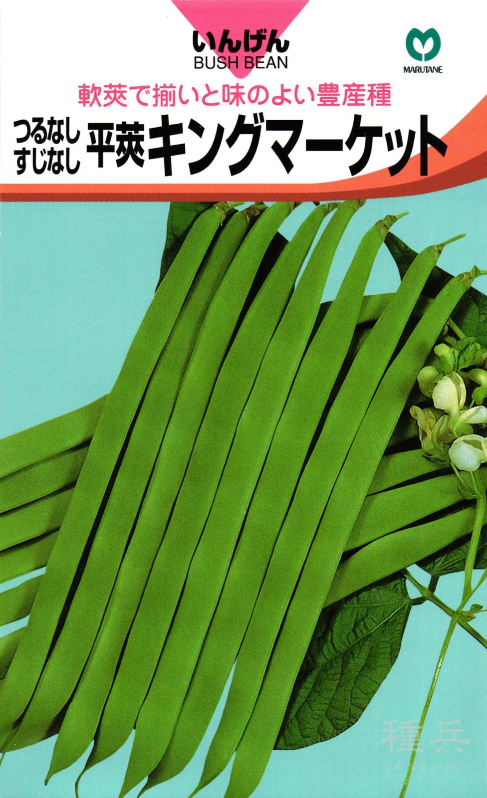 つるなしインゲン 種 『キングマーケット』  丸種