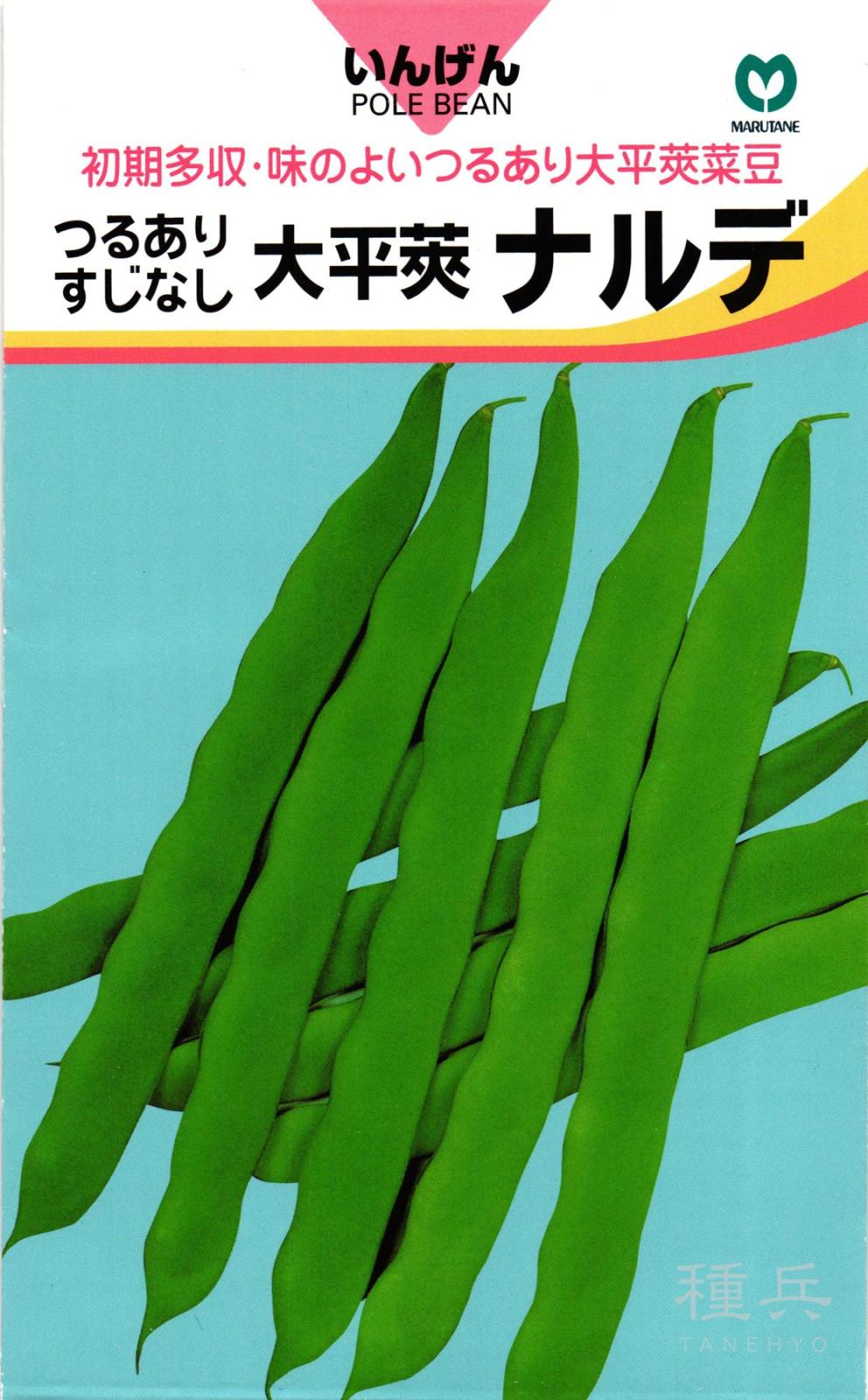 つるありインゲン 種 『ナルデ』  丸種