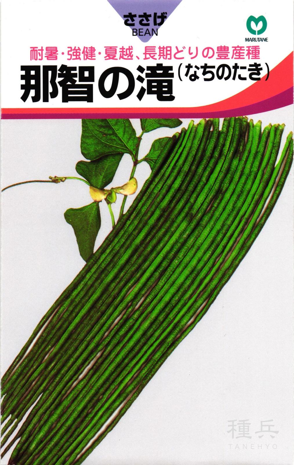 ササゲ 種 『那智の滝』  丸種