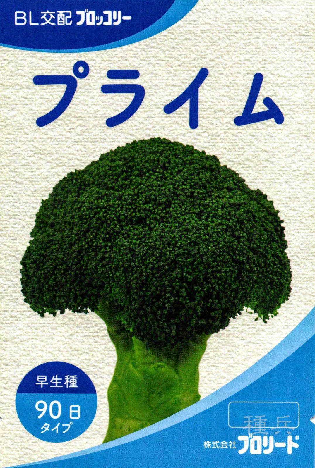 早生ブロッコリー 種 『プライム』  ブロリード