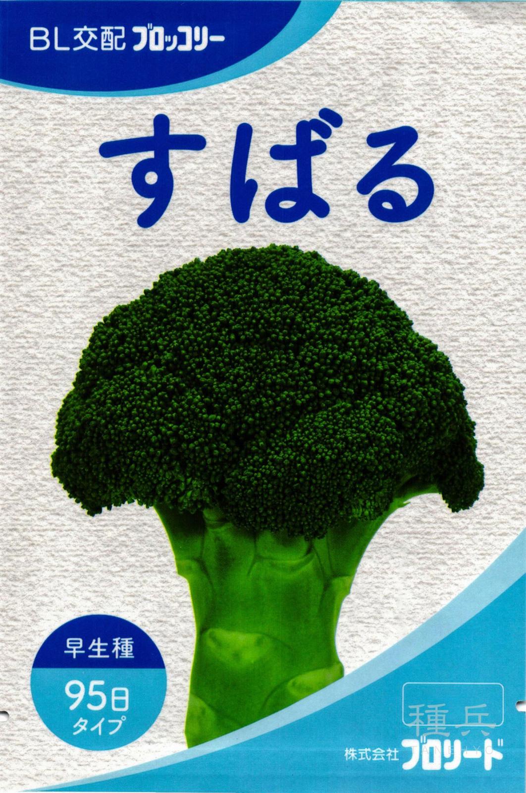 【はなみち】大人気の新種が激安！ブロッコリー（アーサー）2個 はなみち】大人気の新種が激安！ブロッコリー（アーサー）2個