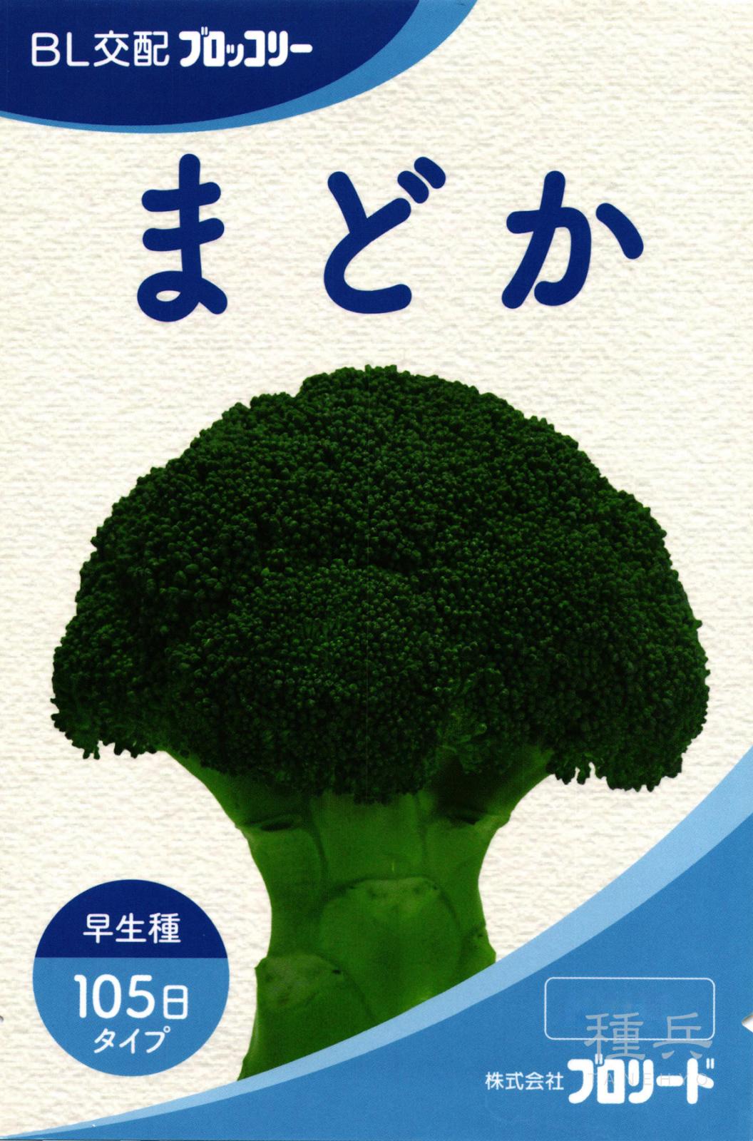 中早生ブロッコリー 種 『まどか』  ブロリード