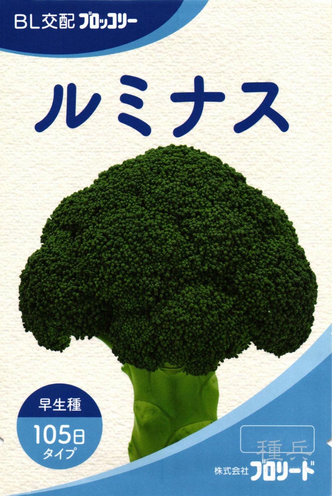 中早生ブロッコリー 種 『ルミナス』  ブロリード