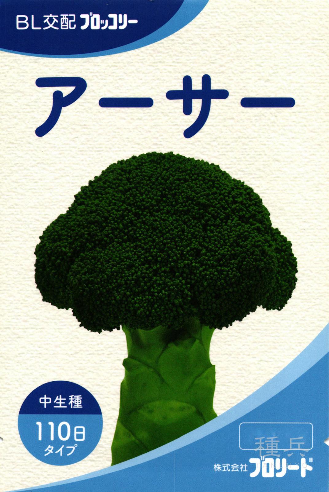中生ブロッコリー 種 『アーサー』  ブロリード