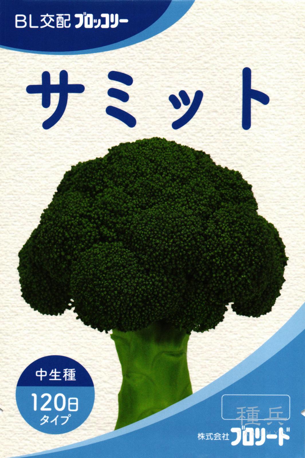 中生ブロッコリー 種 『サミット』  ブロリード