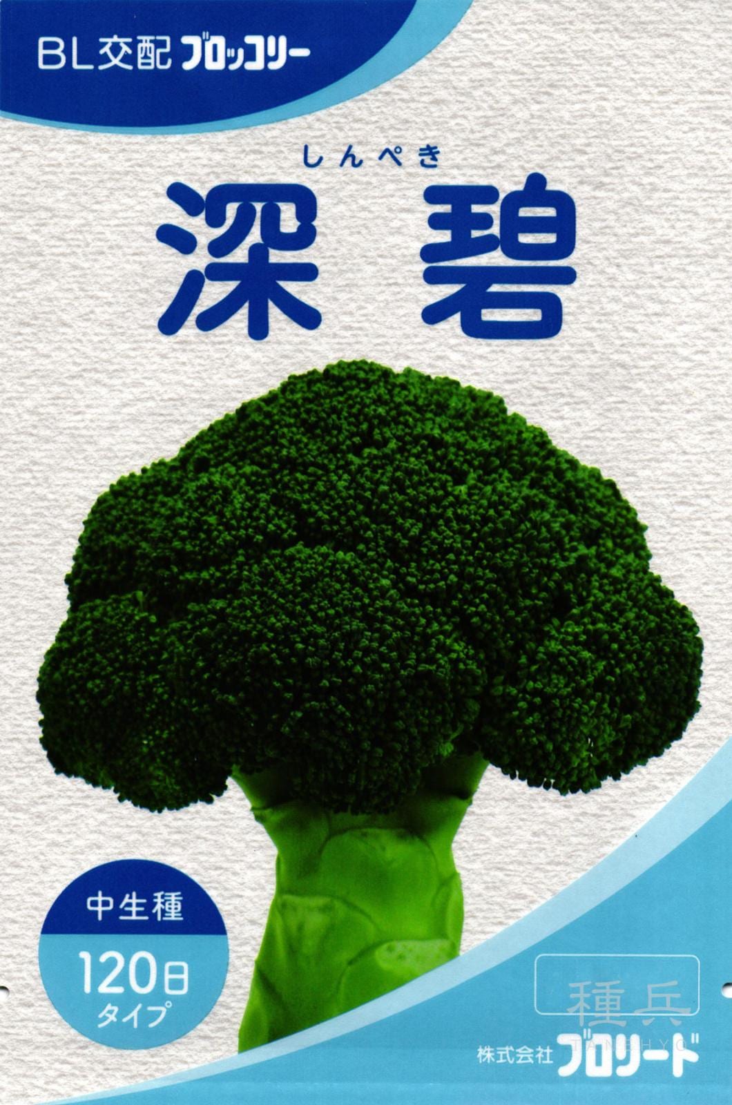 【はなみち】大人気の新種が激安！ブロッコリー（アーサー）2個 はなみち】大人気の新種が激安！ブロッコリー（アーサー）2個