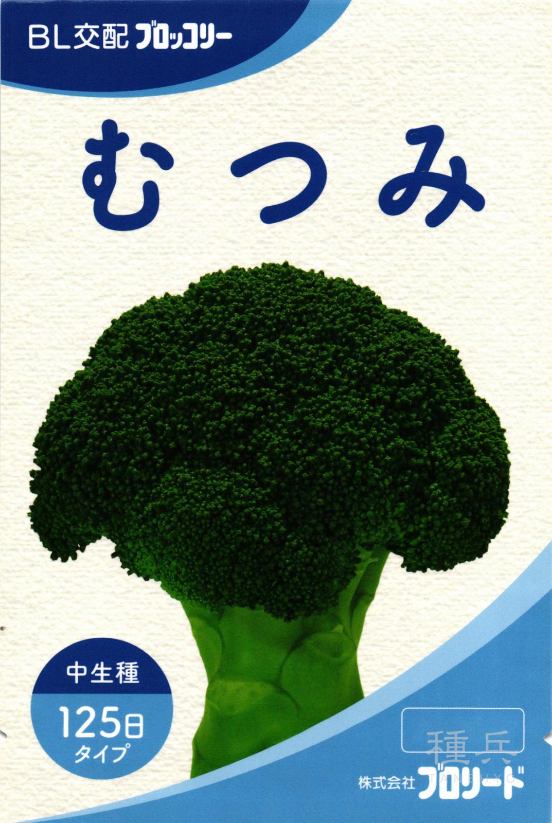 中生ブロッコリー 種 『むつみ』  ブロリード