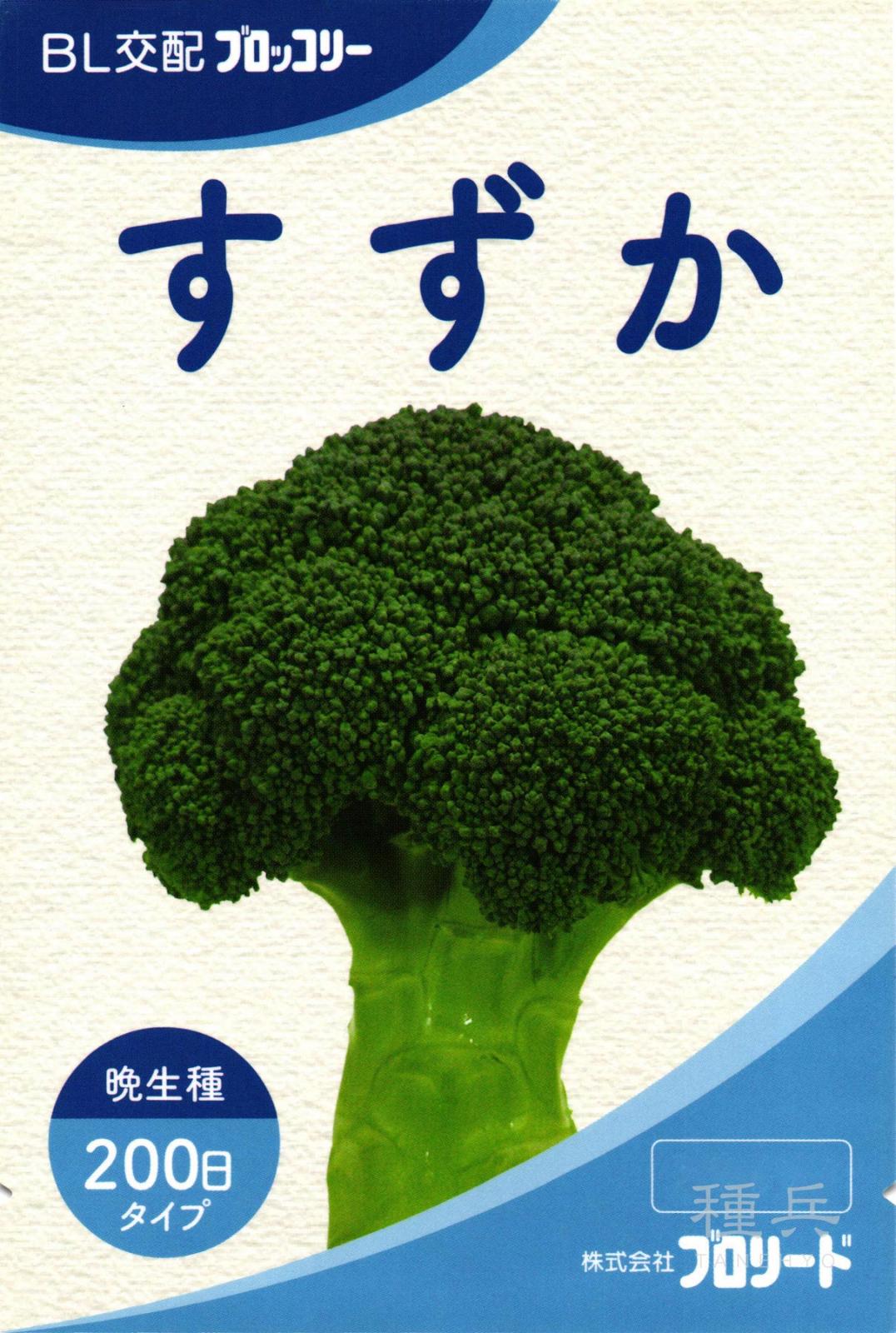 【sana】大人気の新種が激安！ブロッコリーコート種子（アーサー）4個 sana様専用】大人気の新種が激安！ブロッコリーコート種子