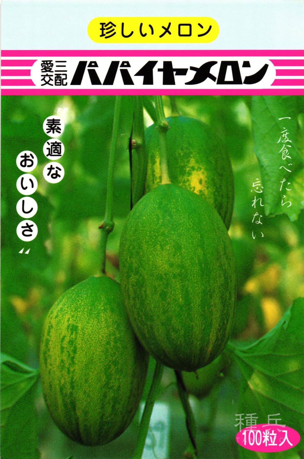 ノーネットメロン 種 『パパイヤメロン』  愛三種苗