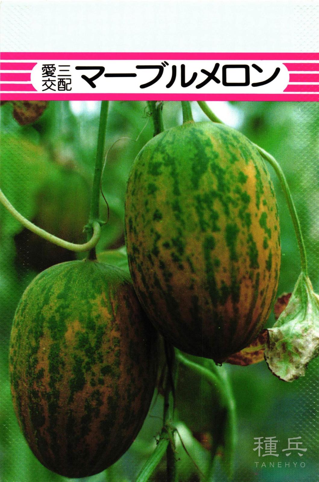 ノーネットメロン 種 『マーブルメロン』  愛三種苗