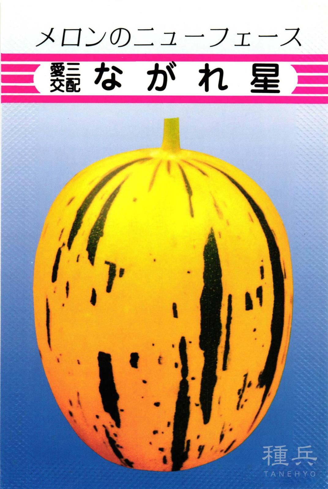 ノーネットメロン 種 『流れ星メロン』  愛三種苗