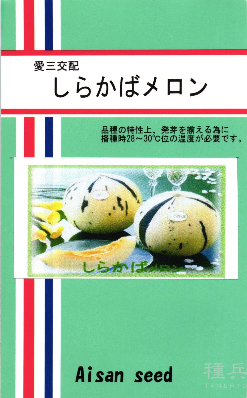白肉ノーネットメロン 種 『しらかばメロン』  愛三種苗