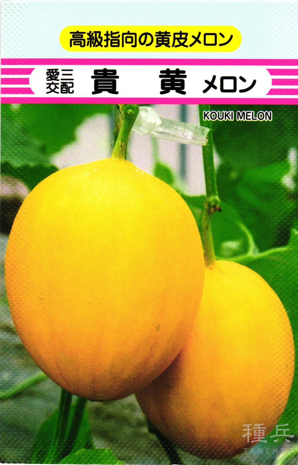 白肉ノーネットメロン 種 『貴黄メロン』  愛三種苗