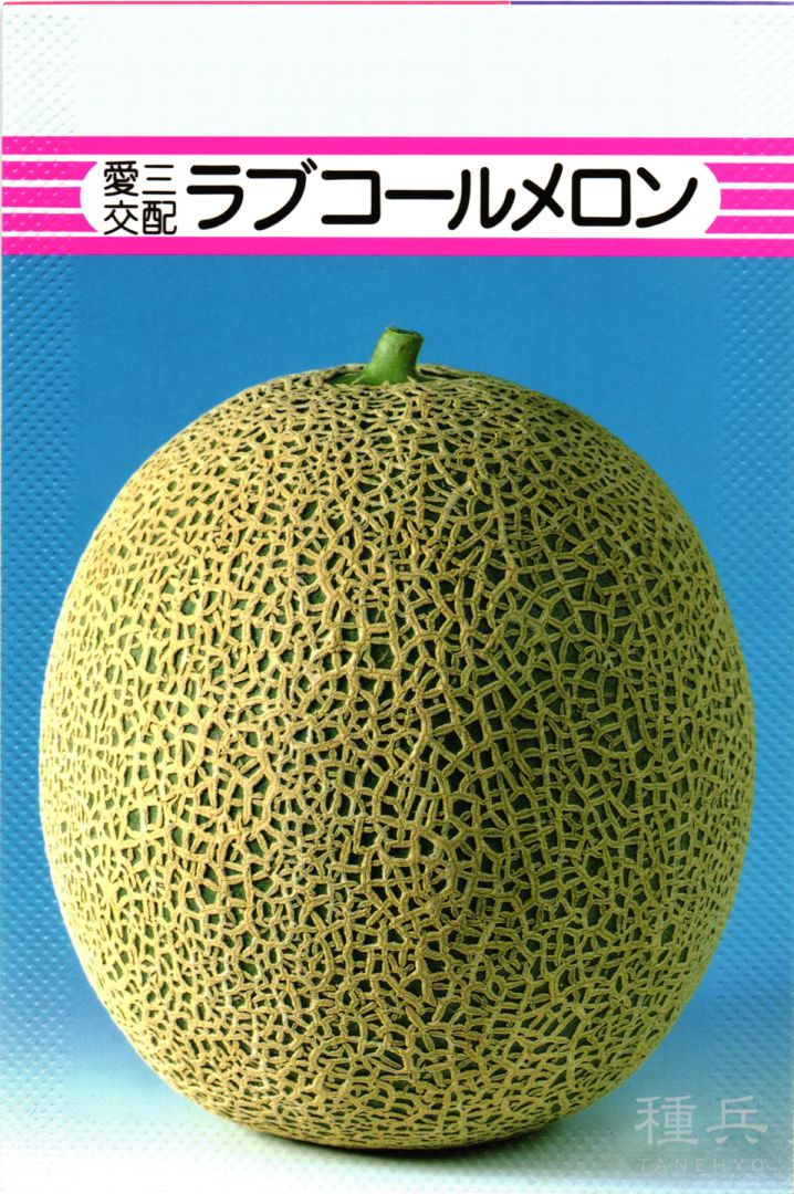 ネットメロン 種 『ラブコールメロン』  愛三種苗