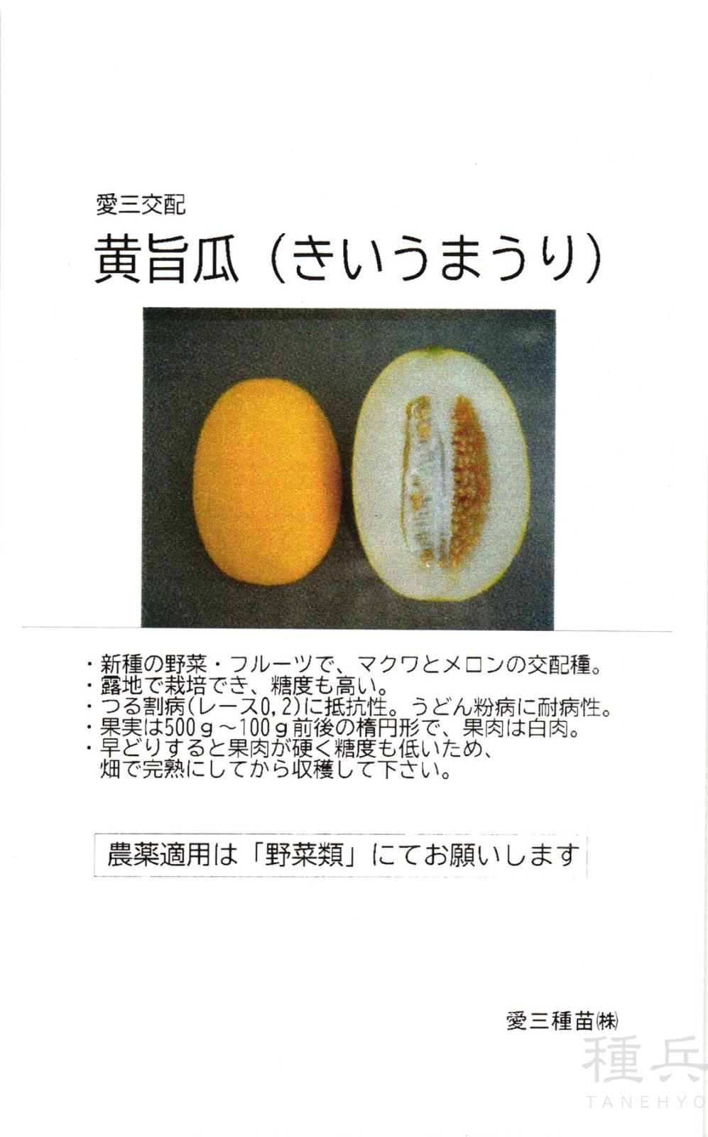 マクワウリ 種 『黄旨瓜』  愛三種苗