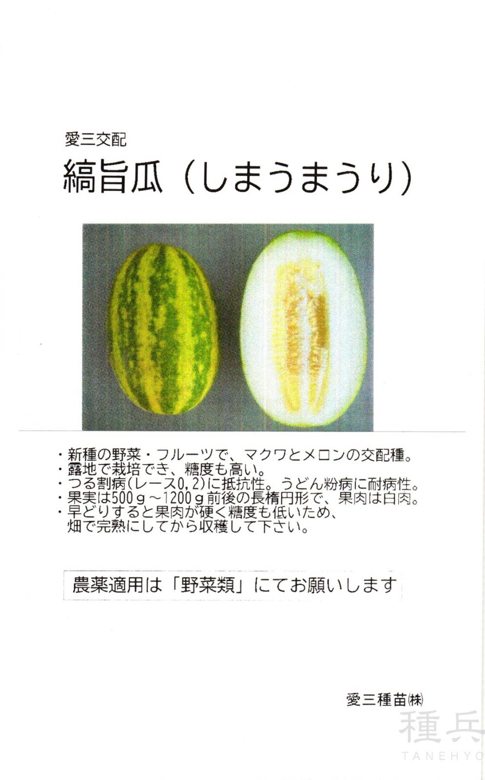 マクワウリ 種 『縞旨瓜』  愛三種苗