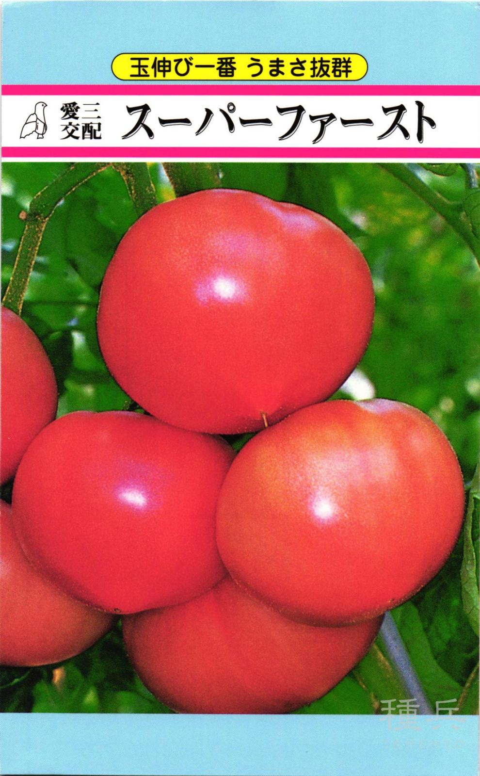 大玉トマト 種 『スーパーファースト』  愛三種苗