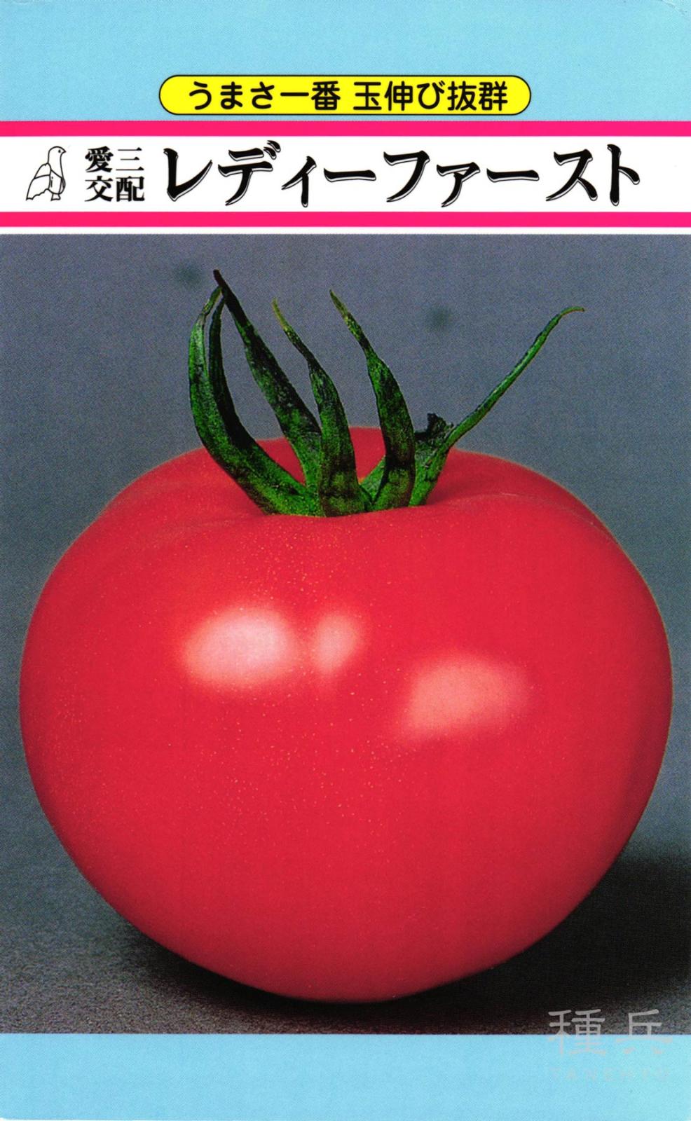 大玉トマト 種 『レディーファースト』  愛三種苗