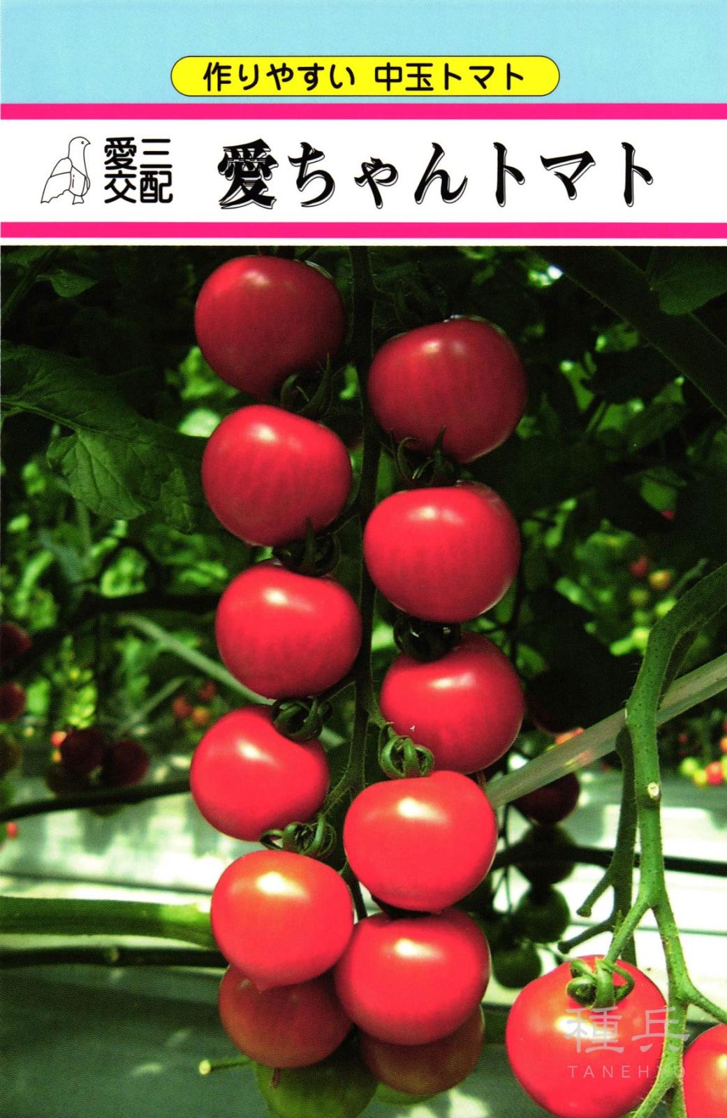 中玉トマト 種 『愛ちゃん』  愛三種苗
