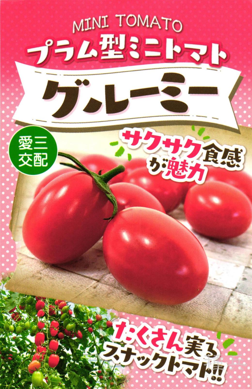 ミニトマト 種 『グルーミー 』 愛三種苗 | たね,果菜の種,トマト,ミニ