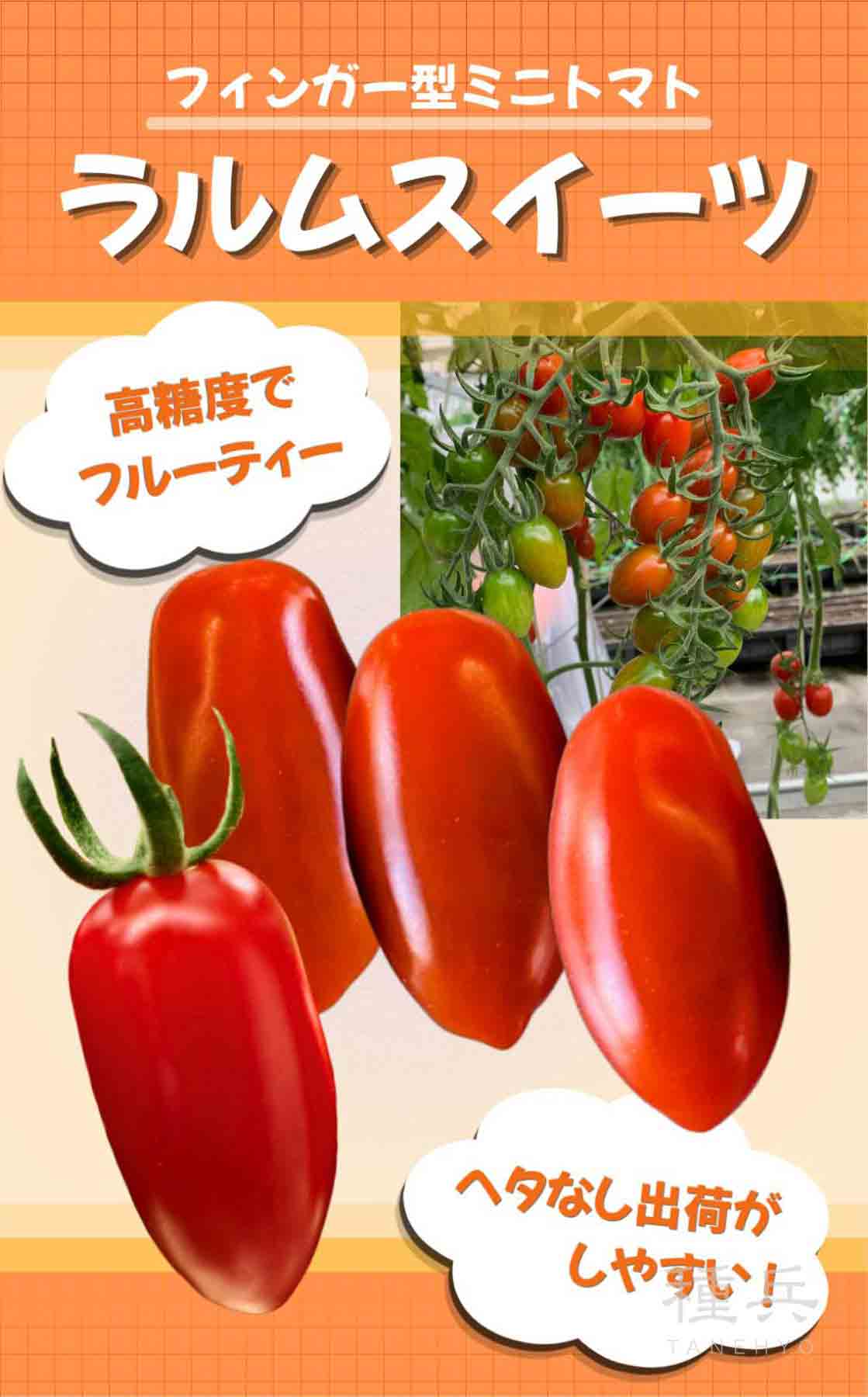 ミニトマト 種 『ラルムスイーツ』 愛三種苗 | たね,果菜の種,トマト
