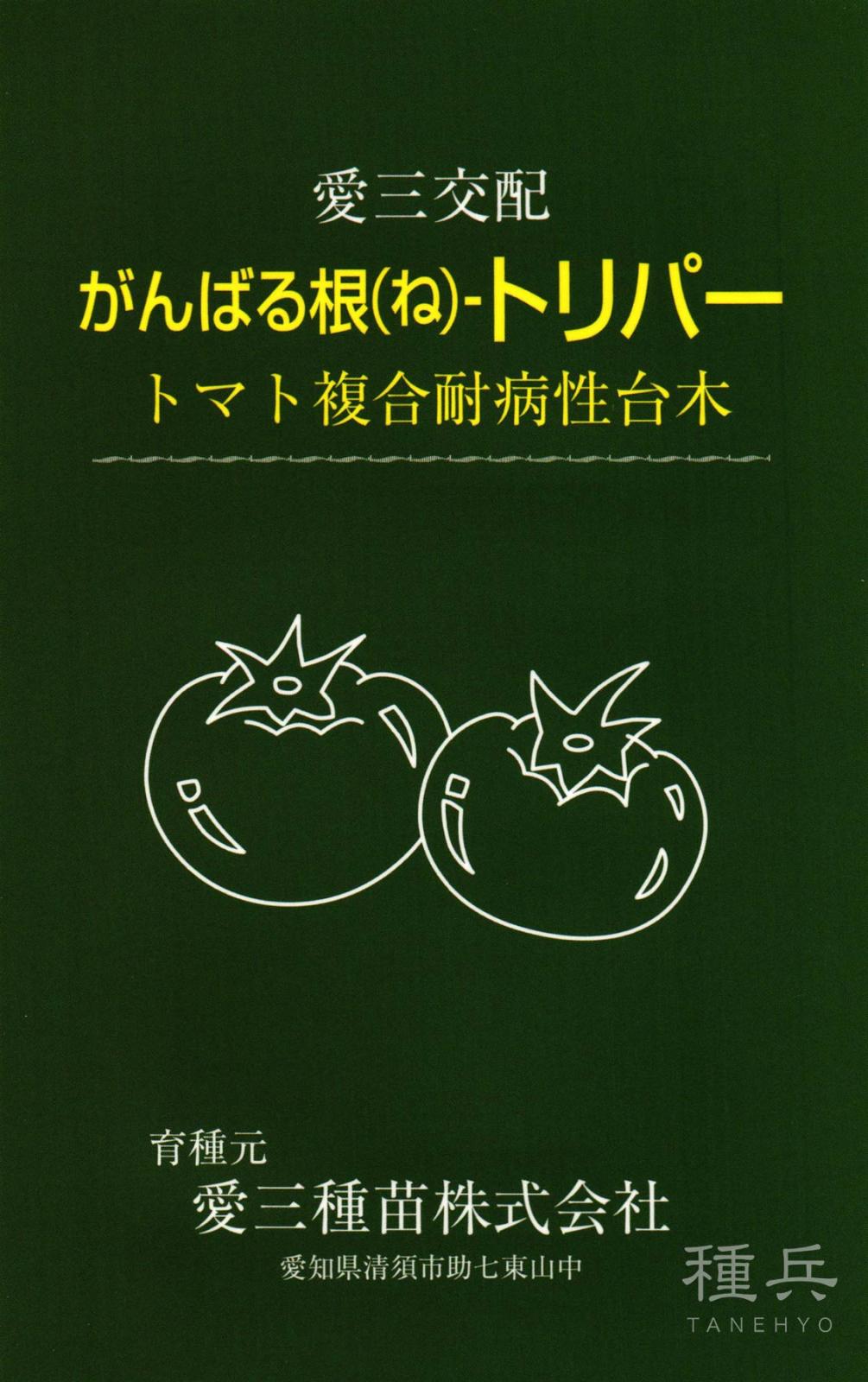 トマト台木 種 『がんばる根トリパー』  愛三種苗