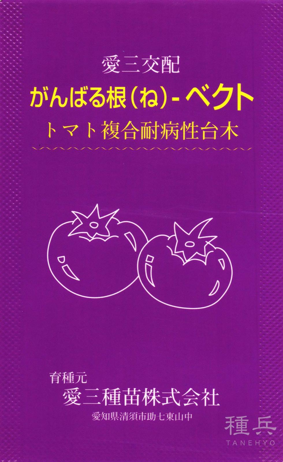 トマト台木 種 『がんばる根ベクト』  愛三種苗