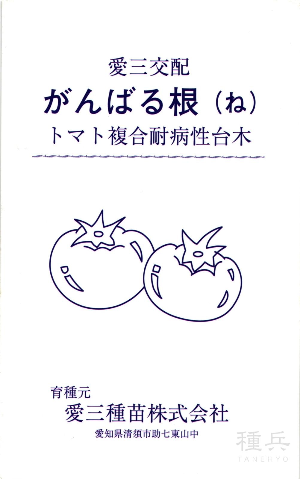 トマト台木 種 『がんばる根』  愛三種苗