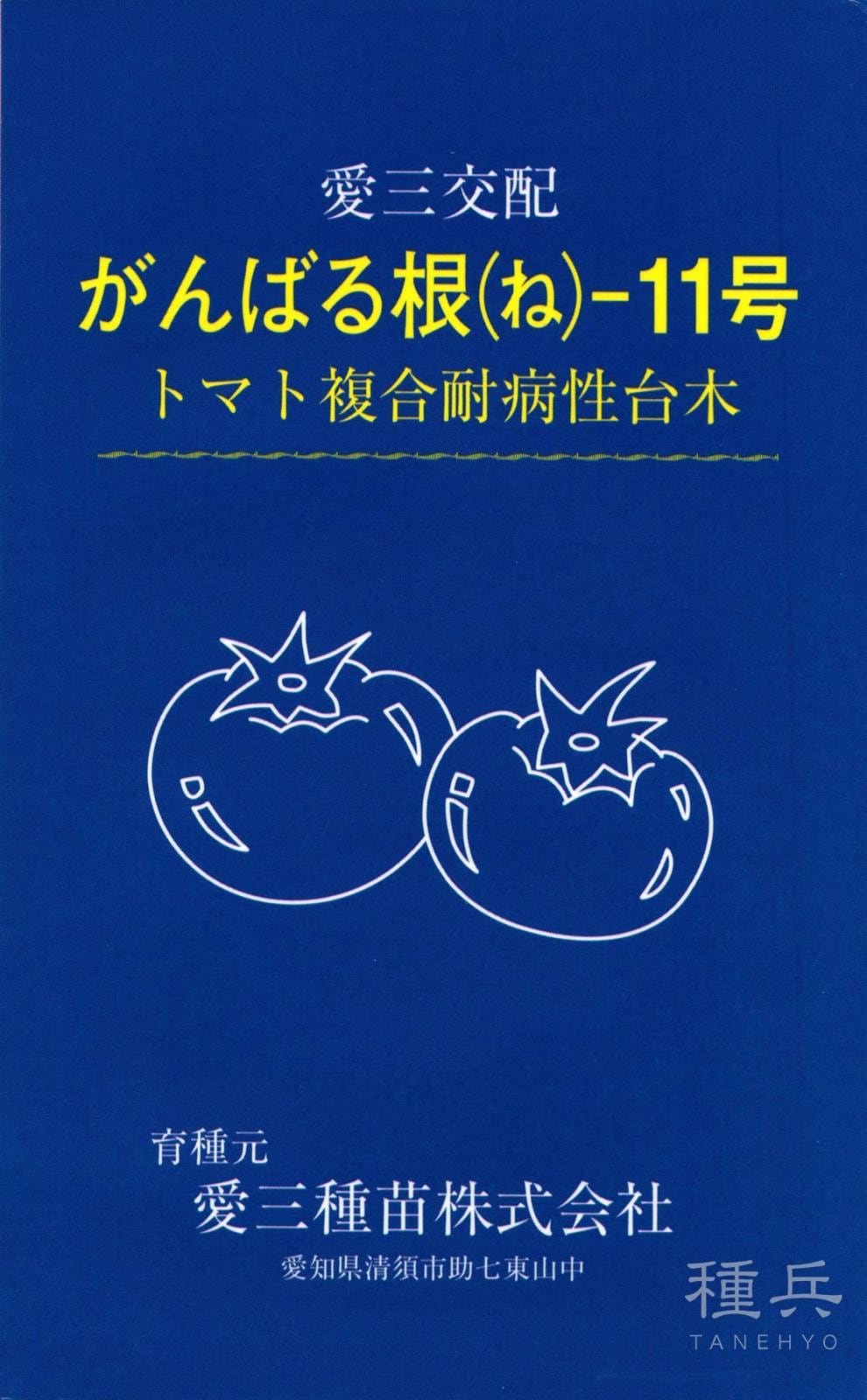 トマト台木 種 『がんばる根11号』  愛三種苗