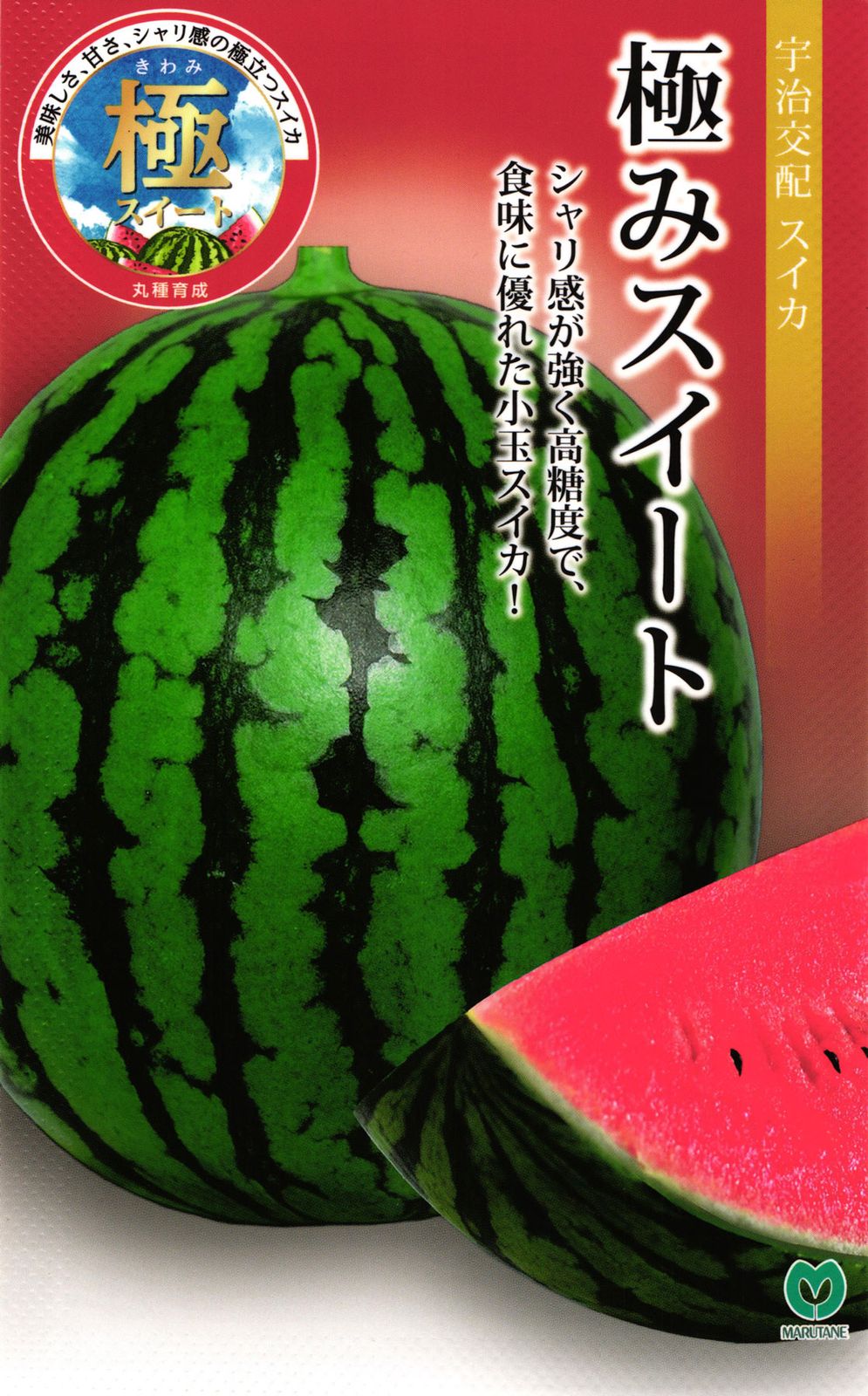 小玉スイカ 種 『極みスイート』  丸種