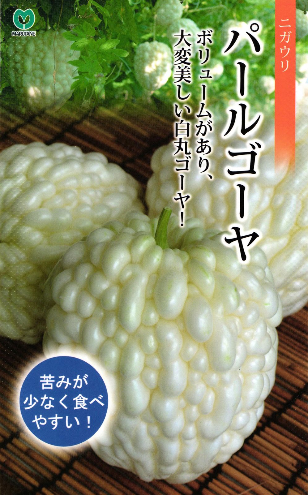 白丸ゴーヤ 種 『パールゴーヤ』  丸種