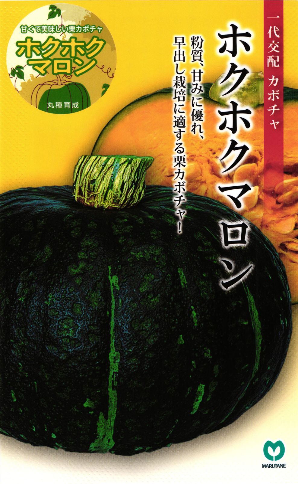 栗カボチャ 種 『ホクホクマロン』 丸種 | たね,果菜の種,カボチャ,栗