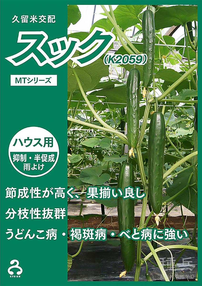 キュウリ 種 『スック（K2059）』  久留米原種