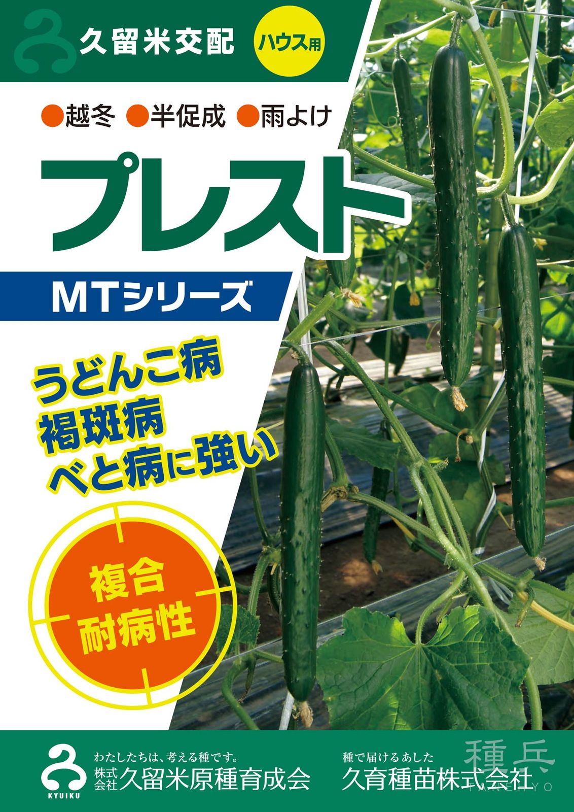 キュウリ 種 『プレスト』  久留米原種