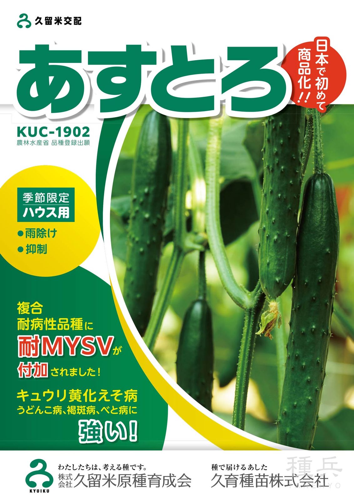 キュウリ 種 『あすとろ』  久留米原種